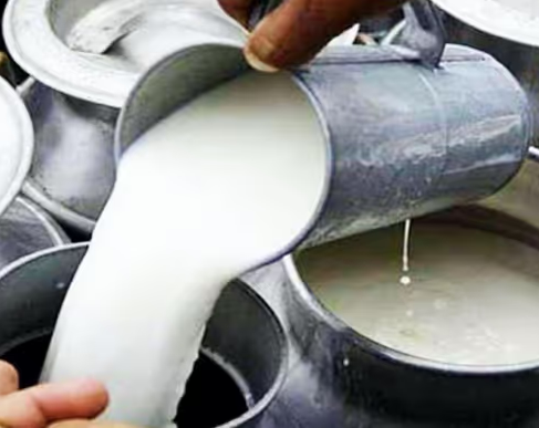 डिटर्जेंट, यूरिया और रसायनों से बन रहा था नकली दूध! महाराष्ट्र की लैब जांच में चौंकाने वाला खुलासा 1 नकली दूध