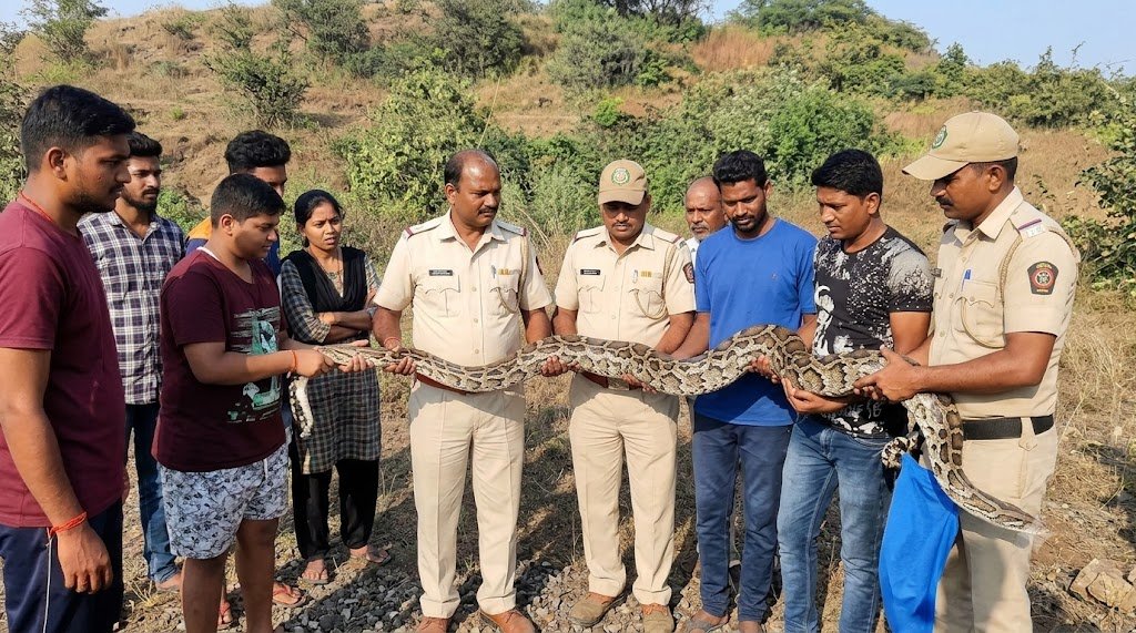 नवी मुंबई में अजगर का रेस्क्यू